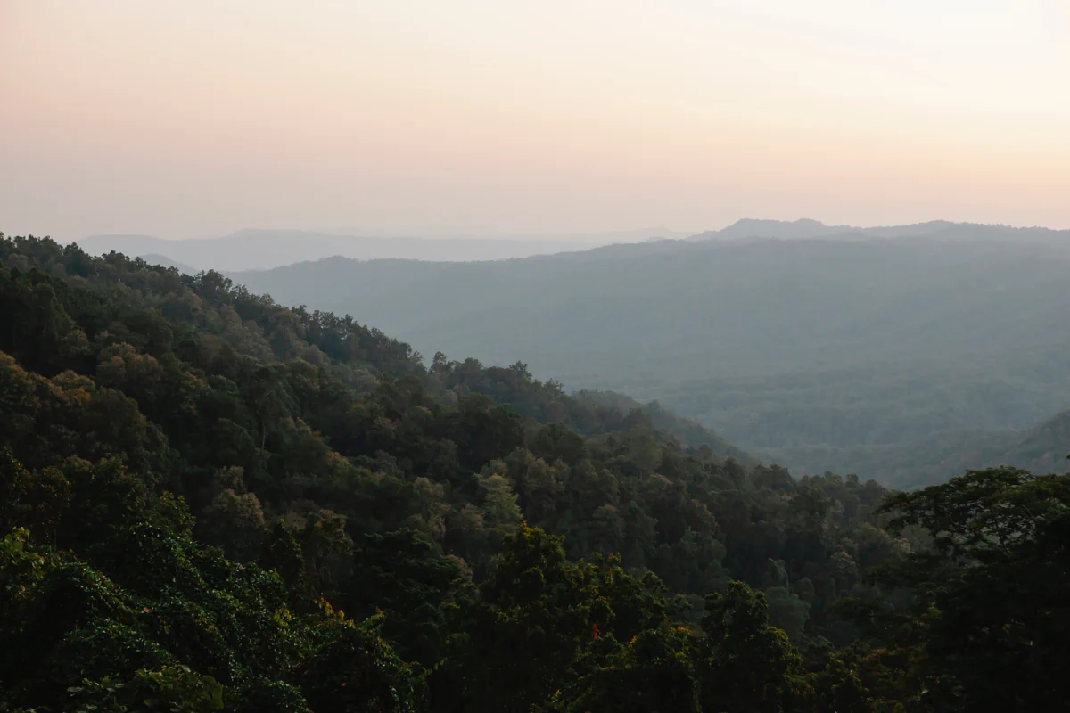 Sunset sky over mountainous valley covered with lush vegetation